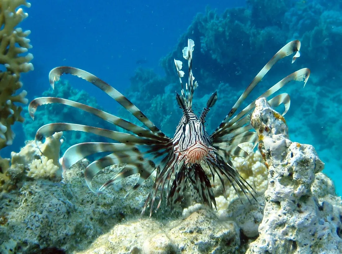 ecolodge-nakari-village-marsa-alam-xozvr