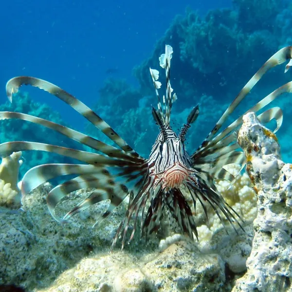 ecolodge-nakari-village-marsa-alam-xozvr