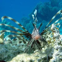ecolodge-nakari-village-marsa-alam-xozvr