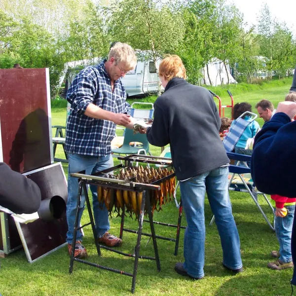 minicamping-de-dobbe-kollumerzwaag-5psdj