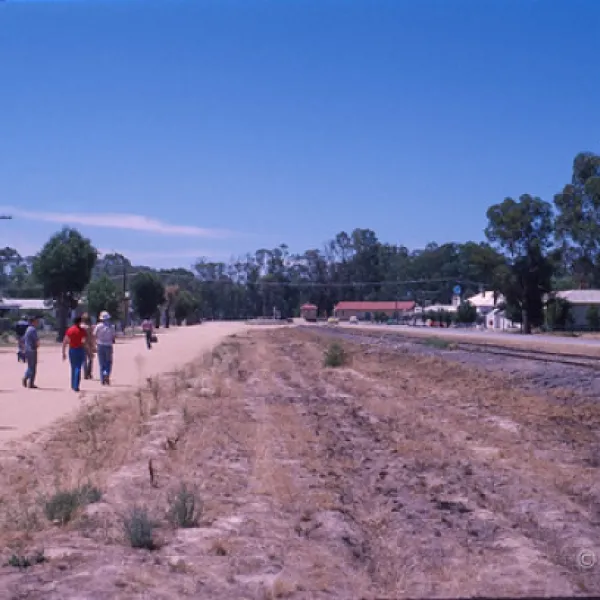 koondrook-campground-koondrook-6kgjx