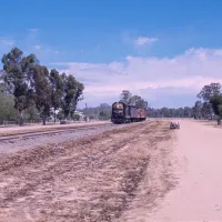 koondrook-campground-koondrook-89p5p