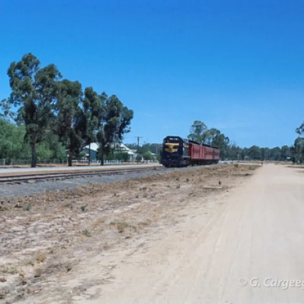 koondrook-campground-koondrook-brtov