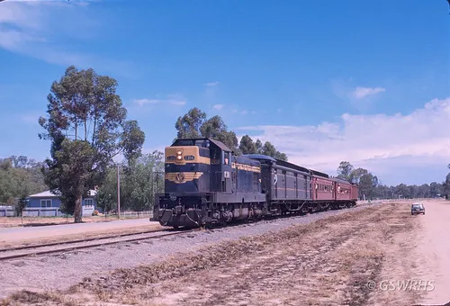 koondrook-campground-koondrook-dinwa