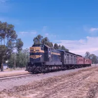 koondrook-campground-koondrook-dinwa