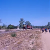 koondrook-campground-koondrook-pl5tr