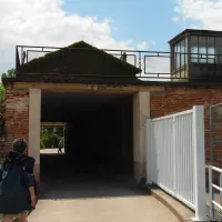 lile-de-bidounet-moissac-rsedy