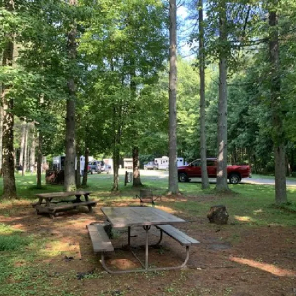 kinderhook-trailhead-primitive-camping-newport-qzmyr