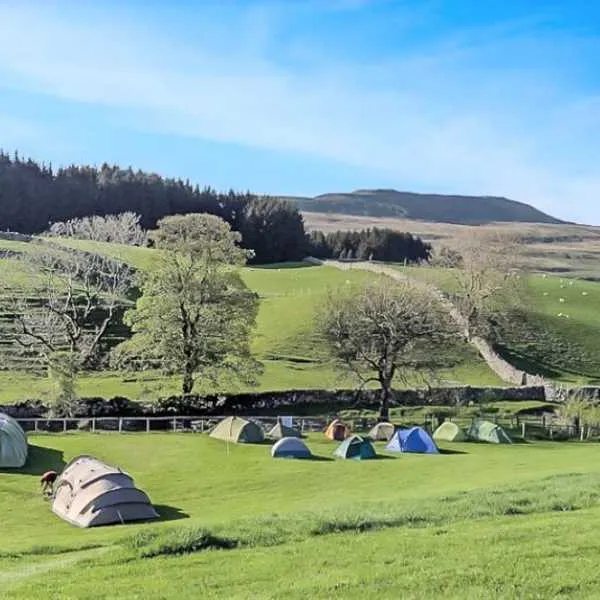 philpin-farm-campsite-ingleton-0ukun