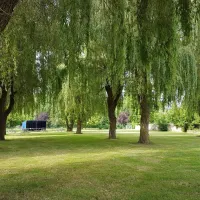 Camping de Cormery CARAVANE PALACE