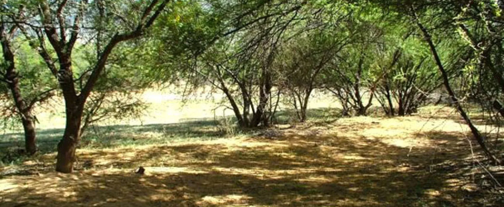 Marlu Farm Camping