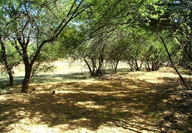 marlu-farm-camping-baviaanskloof-karoo-heartland-30uhy