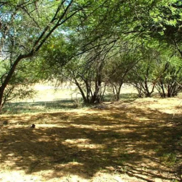 marlu-farm-camping-baviaanskloof-karoo-heartland-30uhy