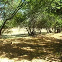 marlu-farm-camping-baviaanskloof-karoo-heartland-30uhy