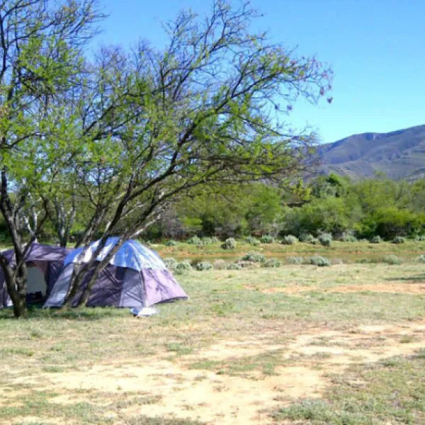 Marlu Farm Camping