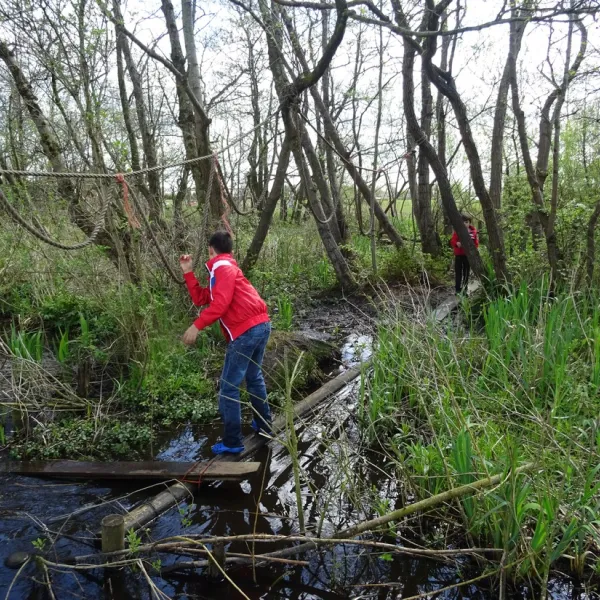 de-geele-bosch-oldeholtwolde-arjq9