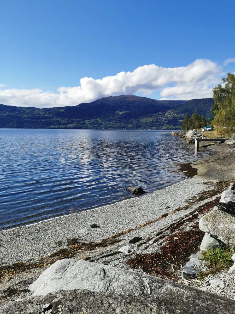 innvik-fjordcamp-innvik-sxunh