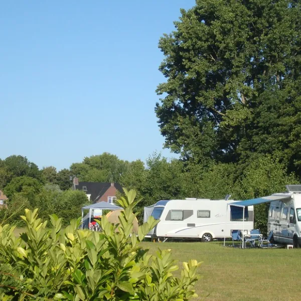 de-houten-paardjes-rockanje-99zxe