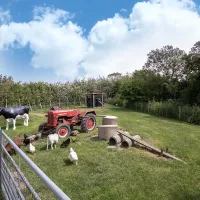 t-veldehof-domburg-8juhs