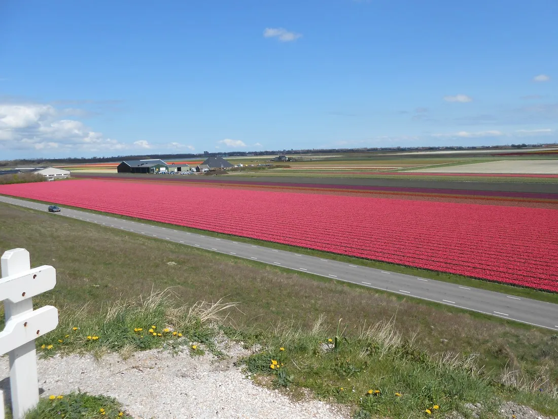 hoeve-ons-lust-julianadorp-aan-zee-cqshm
