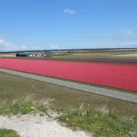 hoeve-ons-lust-julianadorp-aan-zee-cqshm