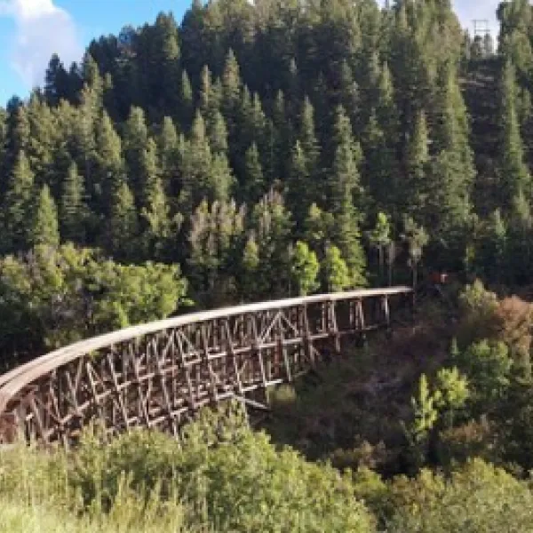cloud-climbing-railroad-cabin-rv-park-high-rolls-k5r2s