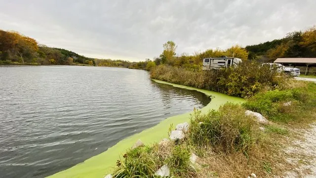 jones-creek-pond-moorhead-o87ag