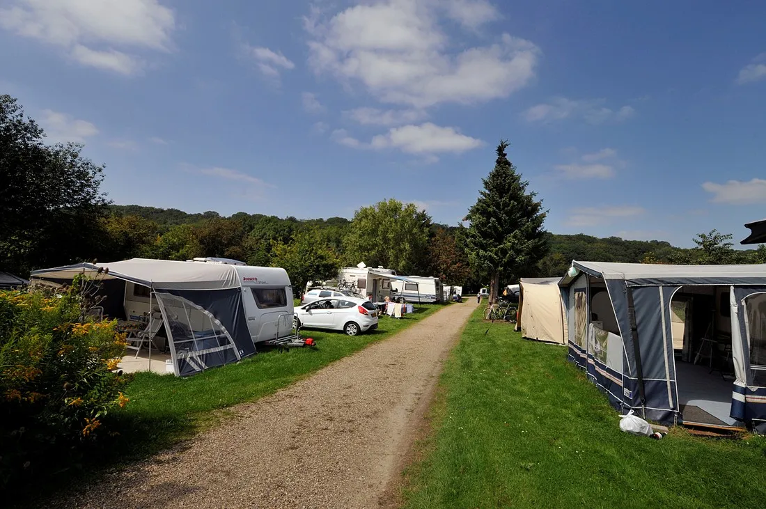 de-bosrand-sint-geertruid-4mjrz