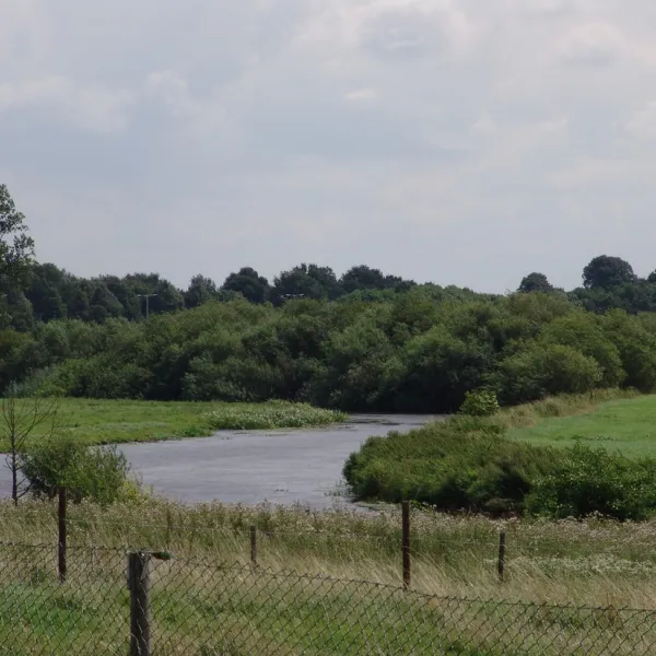 minicamping-het-zwammetje-gennep-milsbeek-b9xoc