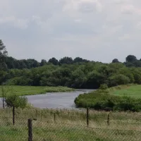 minicamping-het-zwammetje-gennep-milsbeek-b9xoc