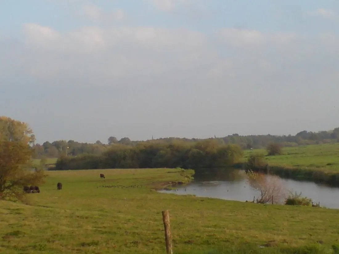 minicamping-het-zwammetje-gennep-milsbeek-kot1y