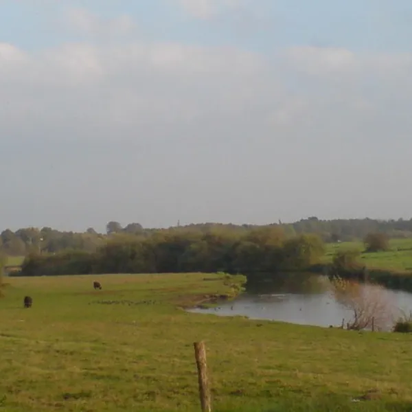 minicamping-het-zwammetje-gennep-milsbeek-kot1y