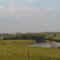 minicamping-het-zwammetje-gennep-milsbeek-kot1y