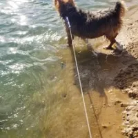 chapparal-campground-resort-wonewoc-wdk42