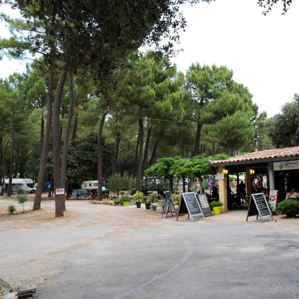 la-simioune-bollene-vaucluse-utpnh