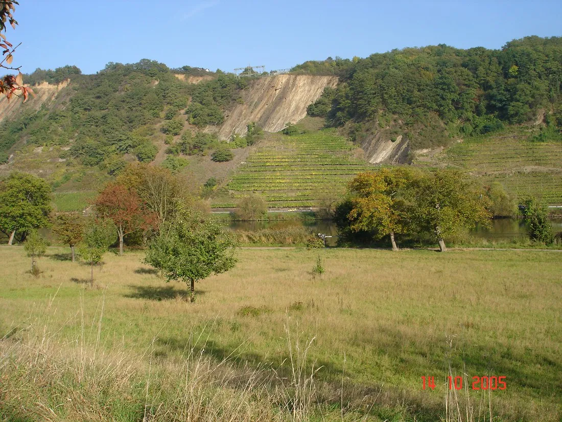 gulser-moselbogen-koblenz-3ysqr