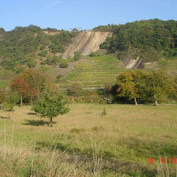 gulser-moselbogen-koblenz-3ysqr