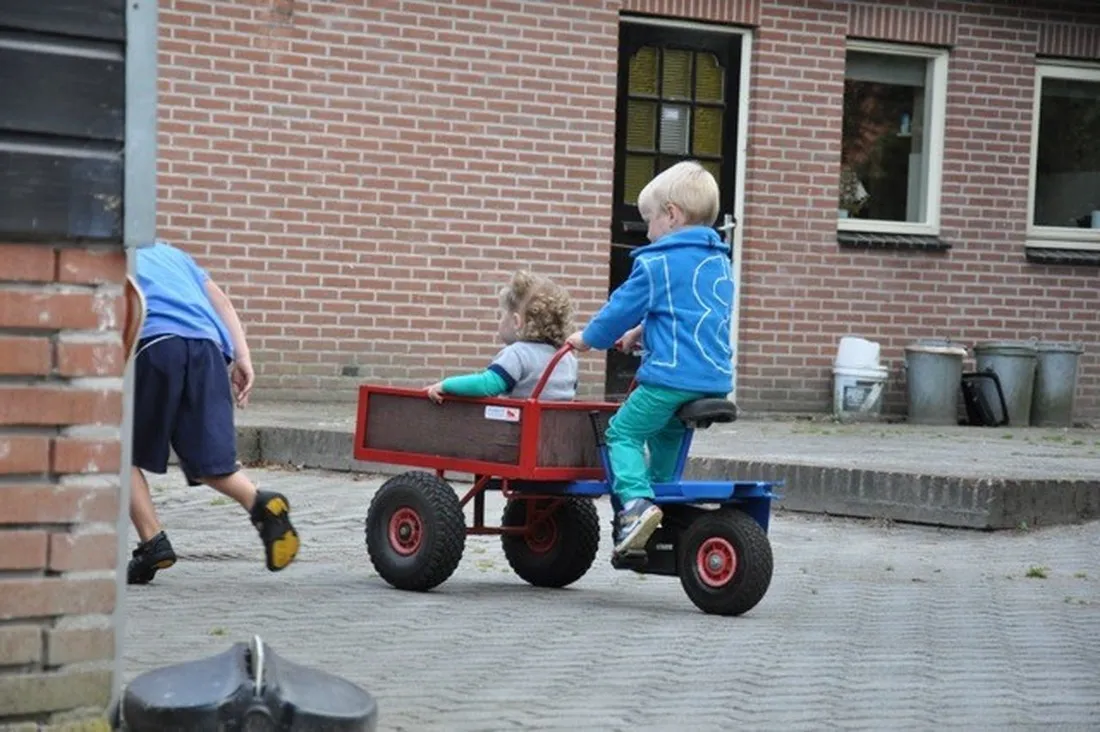 minicamping-dennenpol-gesloten-zandpol-3nkdc