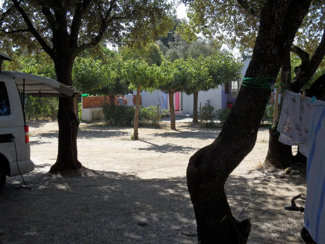 santa-barbara-corte-egifp