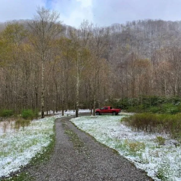 Anthony Creek Dispersed Camping