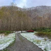 Anthony Creek Dispersed Camping