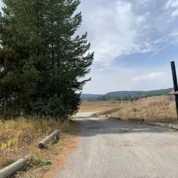 Grassy Lake Road Campsite #2