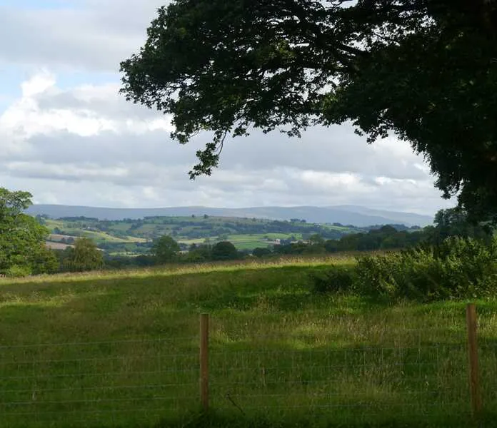 eden-valley-glamping-carlisle-wbgl7