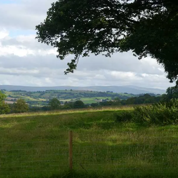 eden-valley-glamping-carlisle-wbgl7