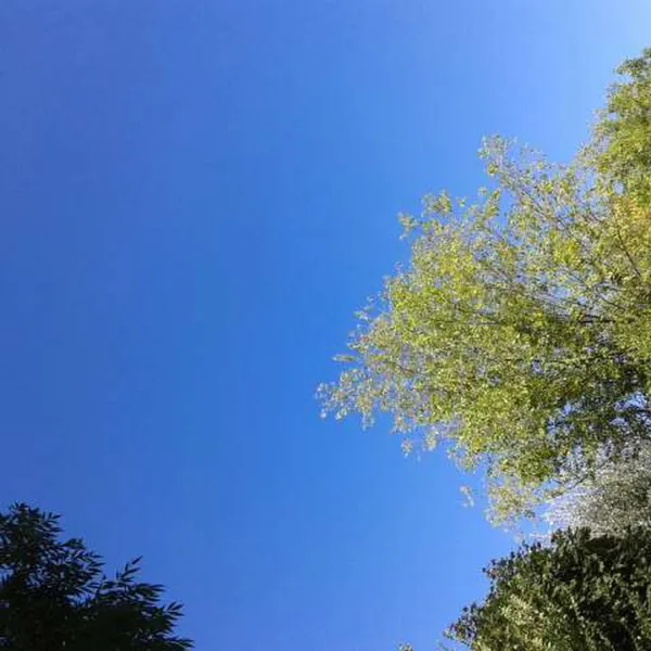 sassabanek-iseo-vzd8b