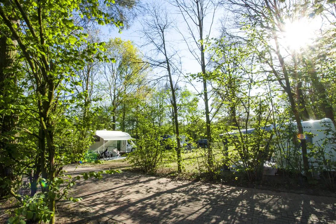 recreatiepark-breebronne-maasbree-834uf