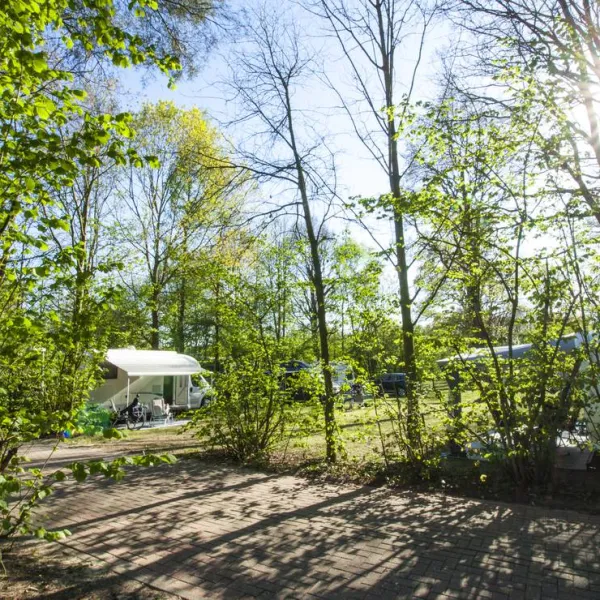 recreatiepark-breebronne-maasbree-834uf