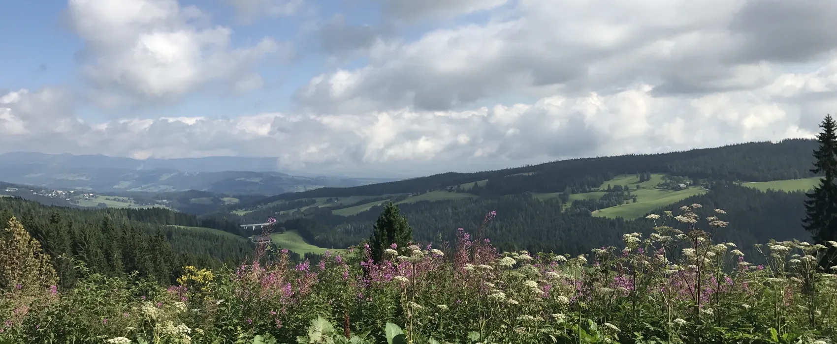 Camping Hebalm