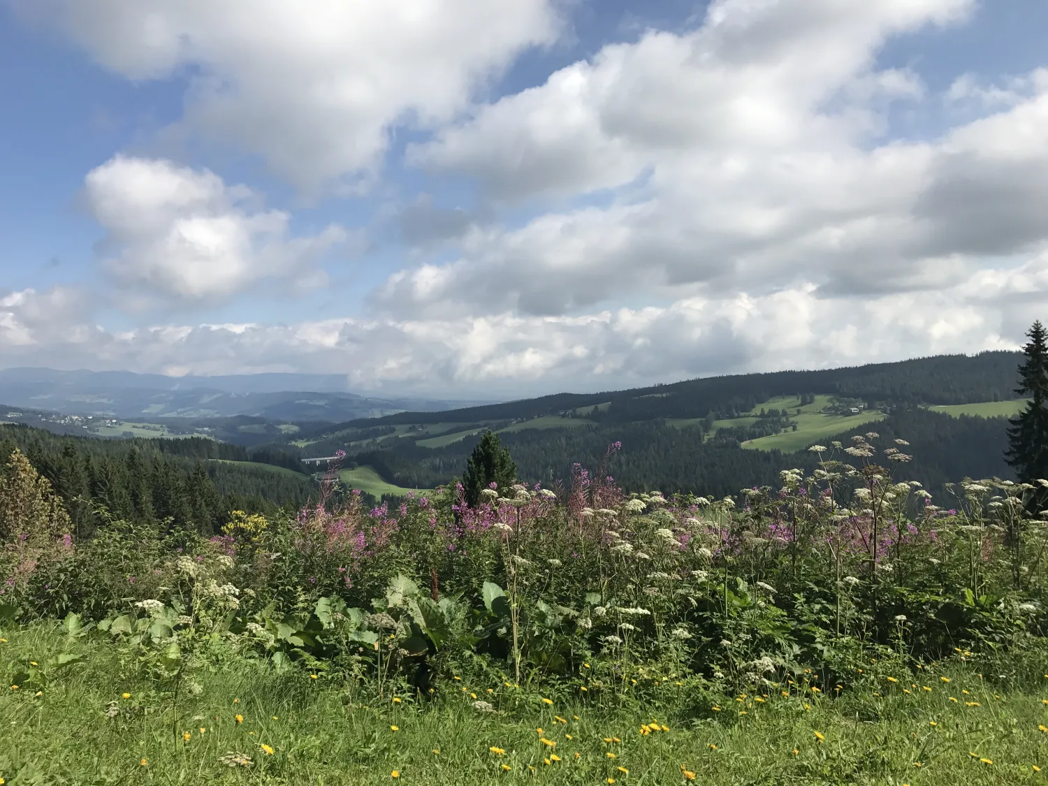 camping-hebalm-jsmwl