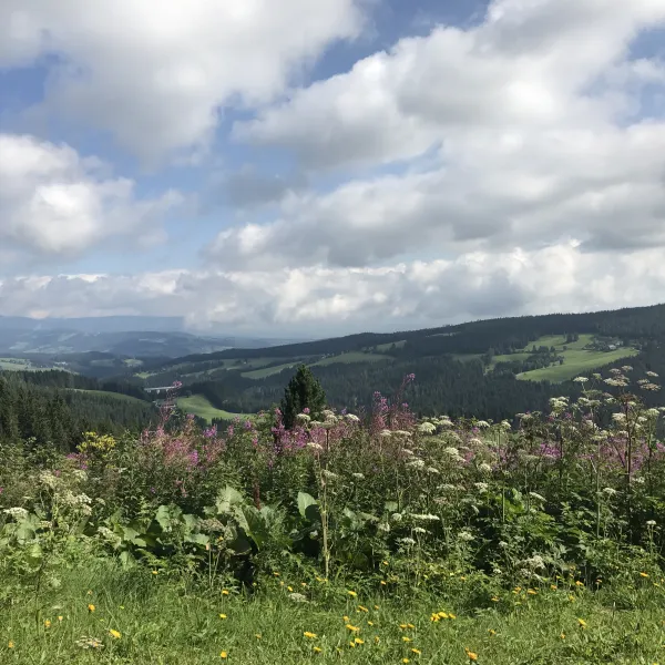 camping-hebalm-jsmwl